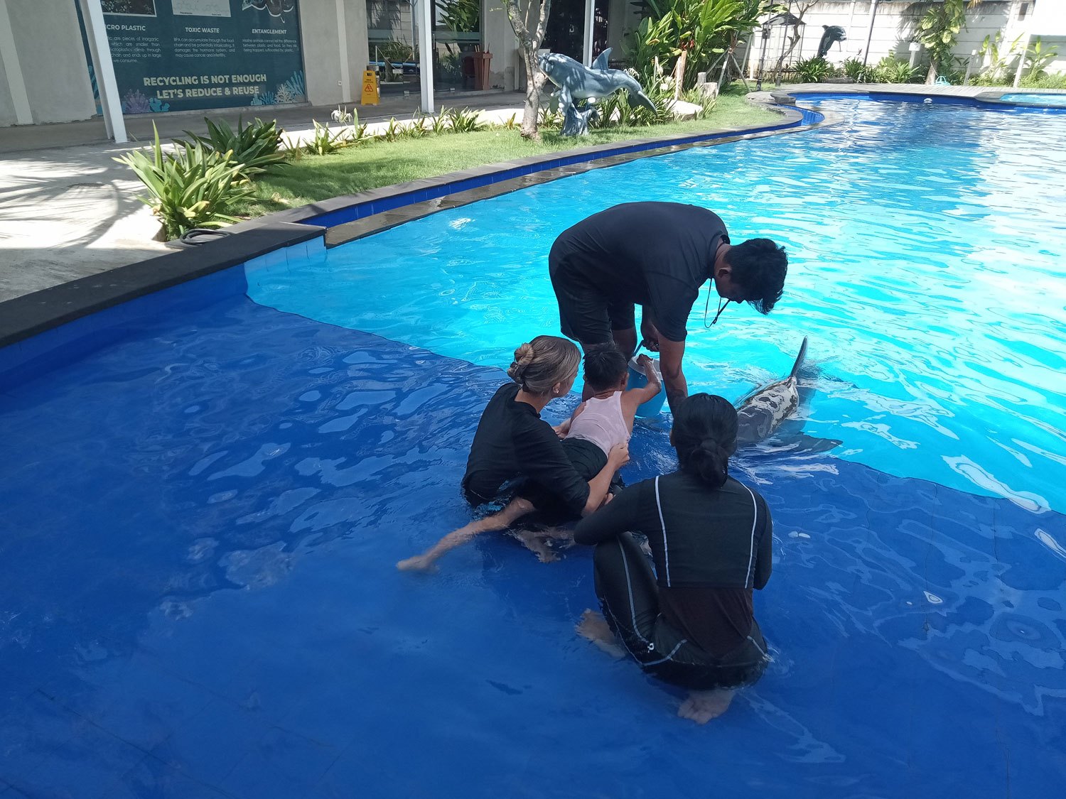 bali-dolphin-therapy-mohammad-1