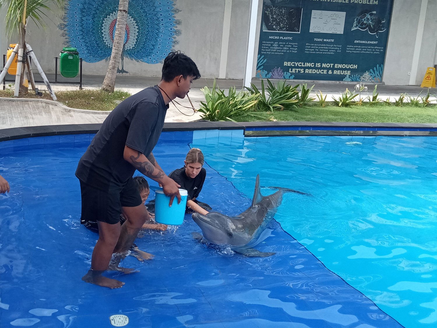 bali-dolphin-therapy-mohammad-4