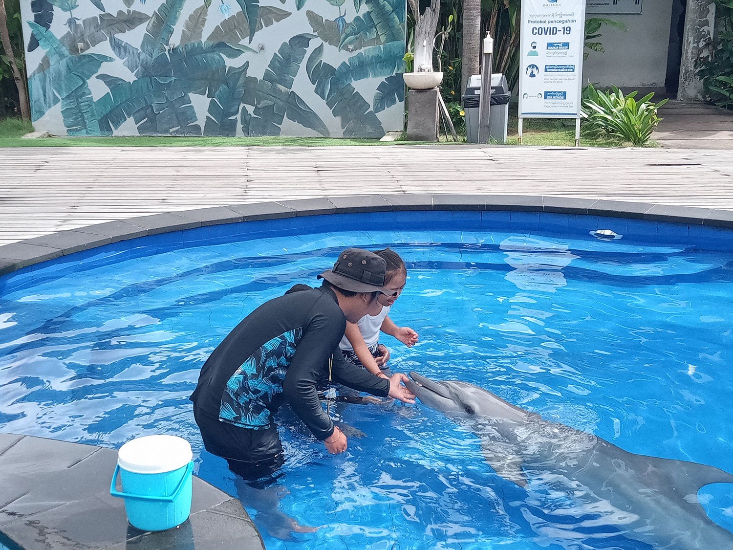 bali-dolphin-therapy-vannia-3