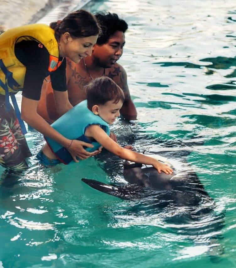 bali dolphin therapy therapist