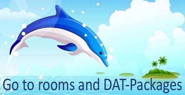 bali dolphin therapy packages