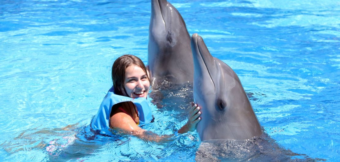 bali dolphin therapy news