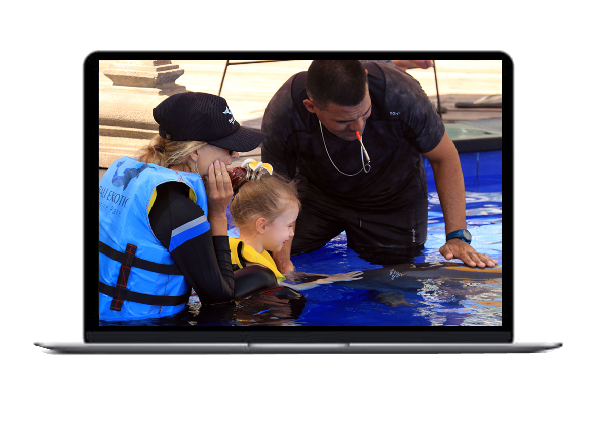 Become a Dolphin Trainer