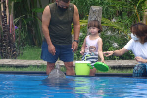 bali dolphin therapy session anja