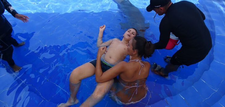 Ausbildung Delfin Assistierte Therapie