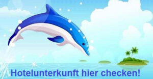 Ausbildungsprogramm Delfin Training & Pflege