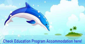 Education in Dolphin Assisted Therapy
