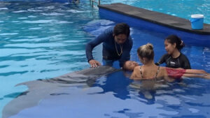 bali dolphin therapy dewi