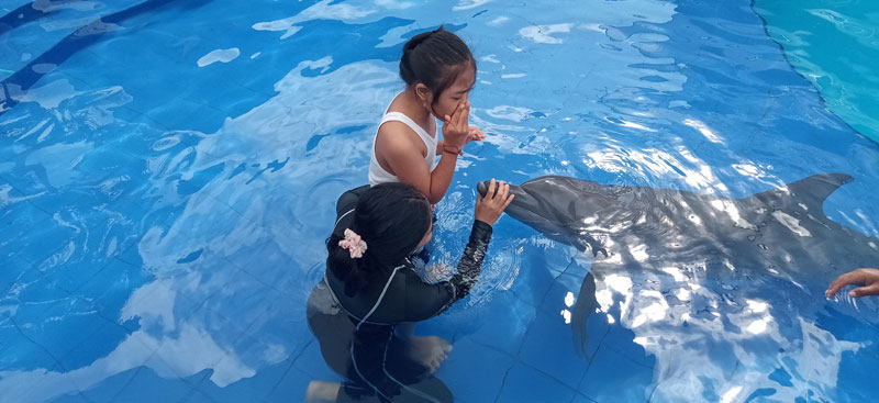Therapeutic Internship Abroad in Dolphin Assisted Therapy | Bali Dolphin  Therapy
